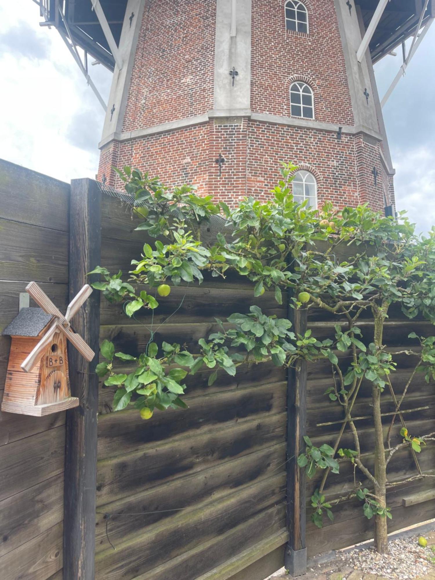 B&B Het Molenhuisje Winschoten - Met Woonkamer & Keuken Exterior foto